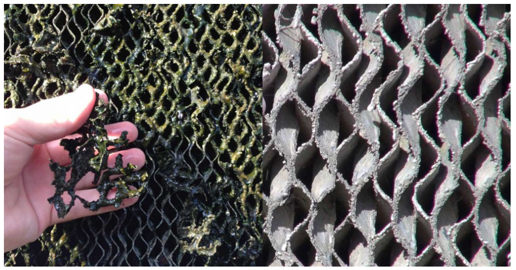 What's all that gunk on my cool cell pads? The Poultry Site